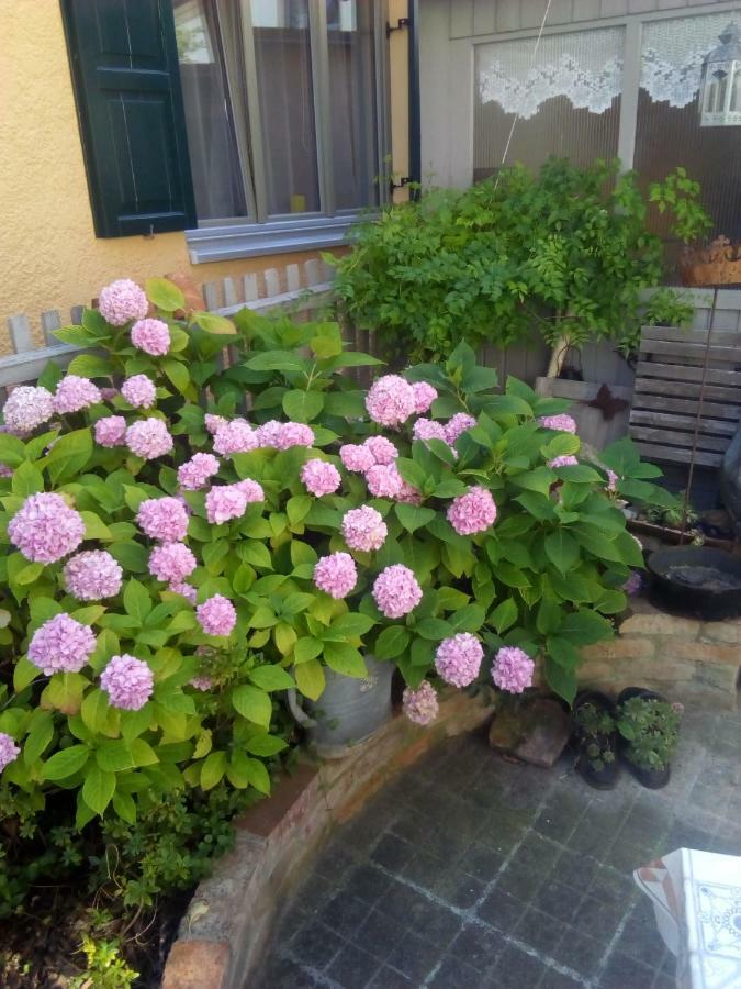 Omas Schmuckkaestle Villa Lauingen Dış mekan fotoğraf