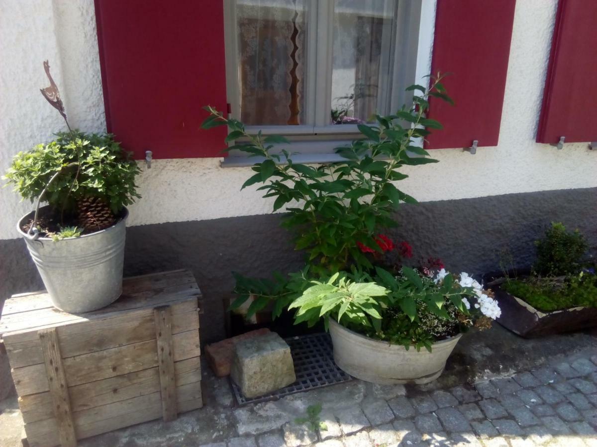 Omas Schmuckkaestle Villa Lauingen Dış mekan fotoğraf